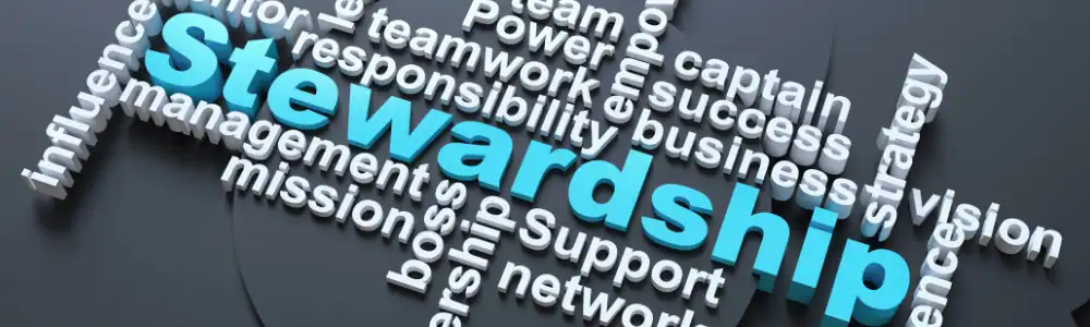 The Evolution of Leadership- From Delivery to Stewardship